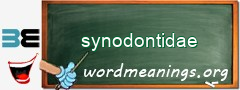 WordMeaning blackboard for synodontidae